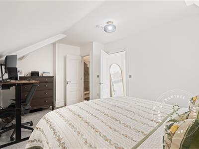Picture 24